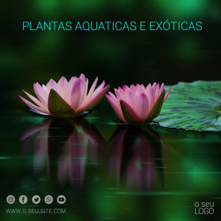 plantas aquáticas e exóticas